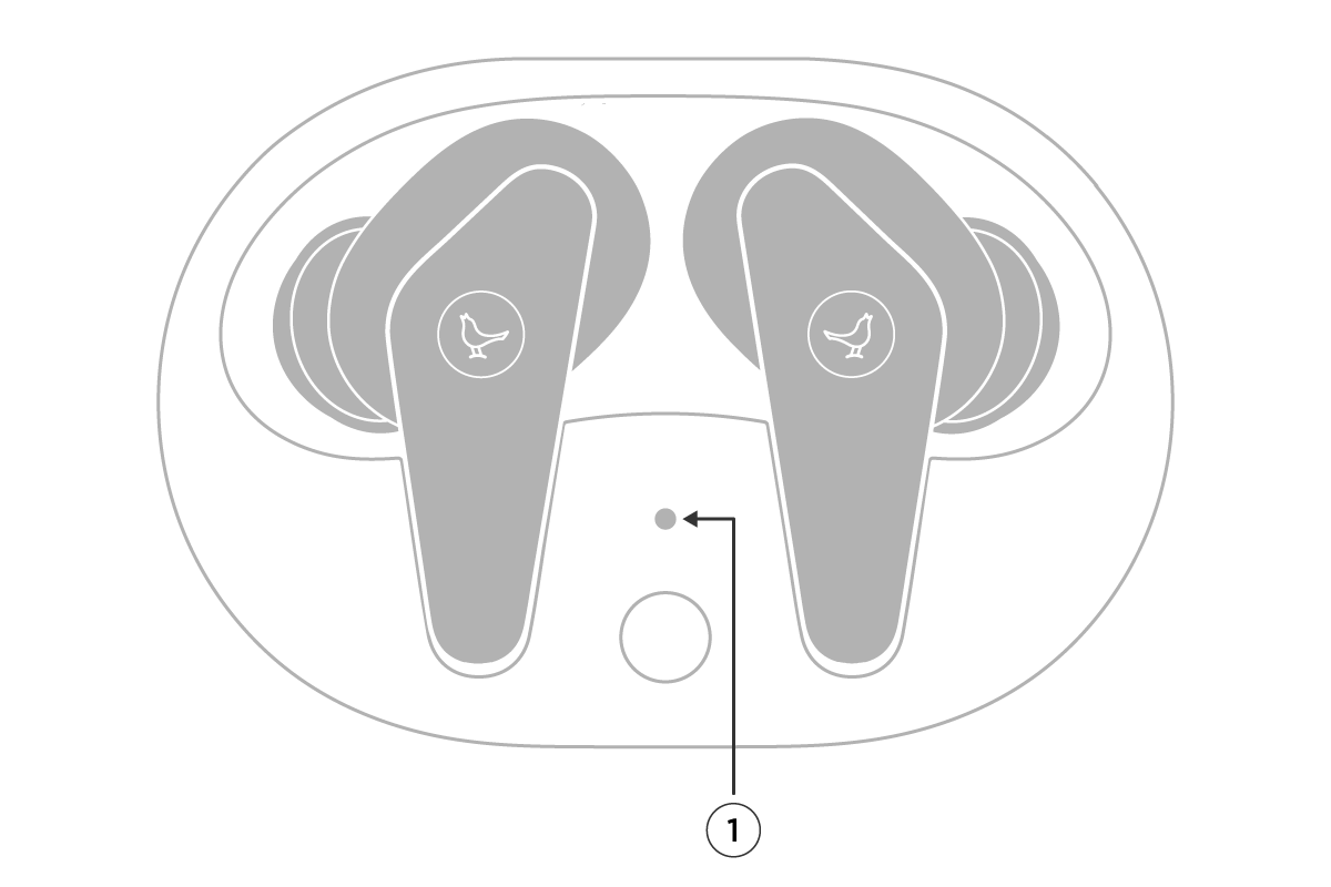 Libratone Guide